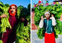 स्वर्गद्वारी आश्रममा सागको भारी, एउटै पातले ७ जना अघाउने