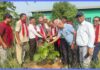 हरियाली प्रवद्र्धन गर्दै तिलोत्तमा व्यापार संघ