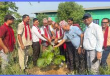 हरियाली प्रवद्र्धन गर्दै तिलोत्तमा व्यापार संघ