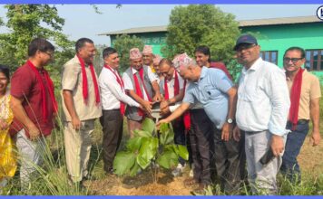 हरियाली प्रवद्र्धन गर्दै तिलोत्तमा व्यापार संघ
