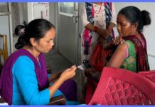 कैलालीमा जापानिज इन्सेफलाइटिस खोप अभियान सुरु