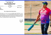 बसन्त शाही नेपाली यू–१९ क्रिकेट टोलीको प्रमुख प्रशिक्षकमा मनोनीत