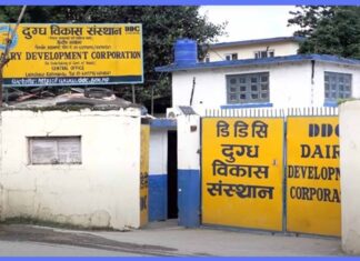 १२ करोड बढी अनियमितता आरोपमा डीडीसीका तत्कालीन महाप्रबन्धकसहित आठ जना पक्राउ