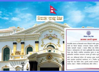 साइबर सुरक्षा जोखिमका कारण राष्ट्र बैंकका अनलाइन सेवा बन्द