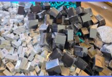कपिलवस्तुमा झन्डै २३ लाखका यौन खेलौना बरामद