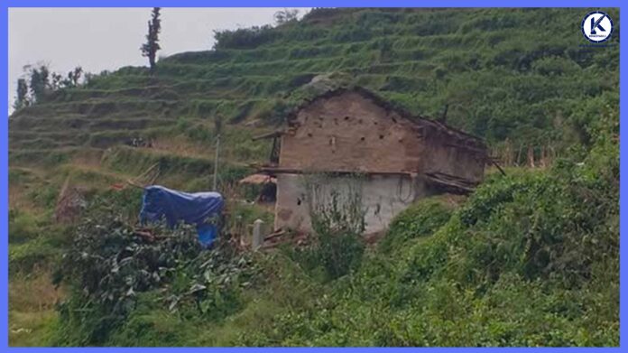 syauliwasng